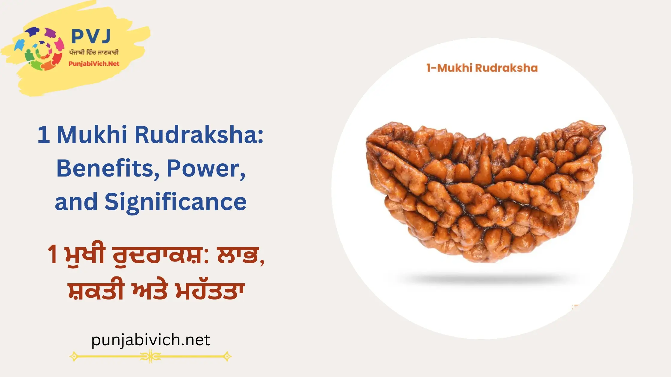 1 Mukhi Rudraksha Benefits