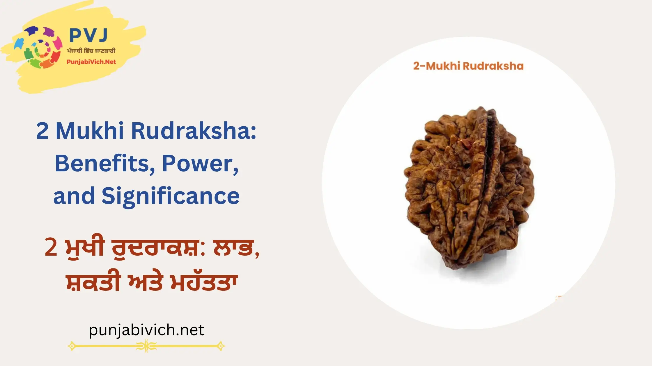 2 Mukhi Rudraksha Benefits